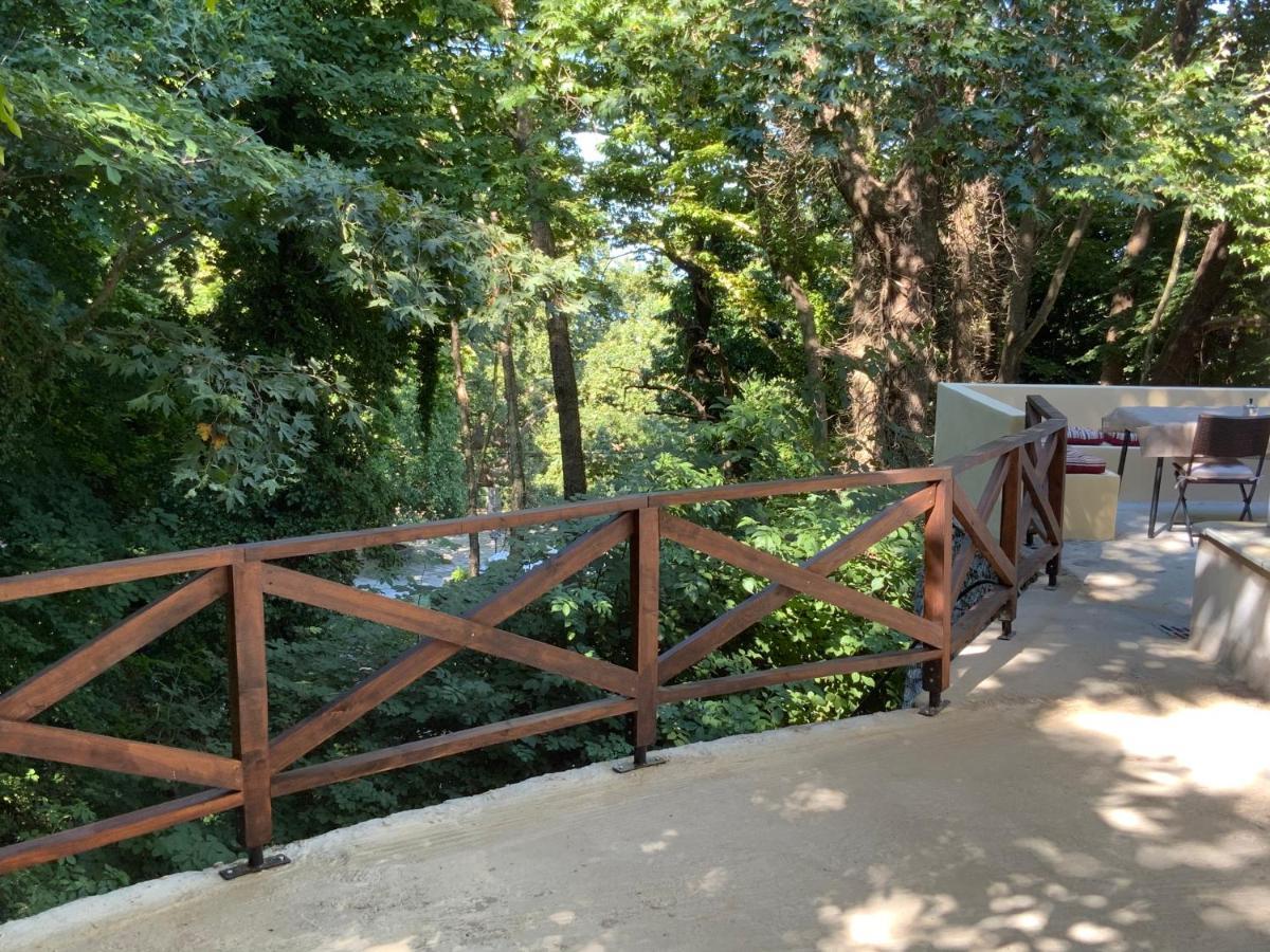 Pelion 7 Lives Дом отдыха Цагарада