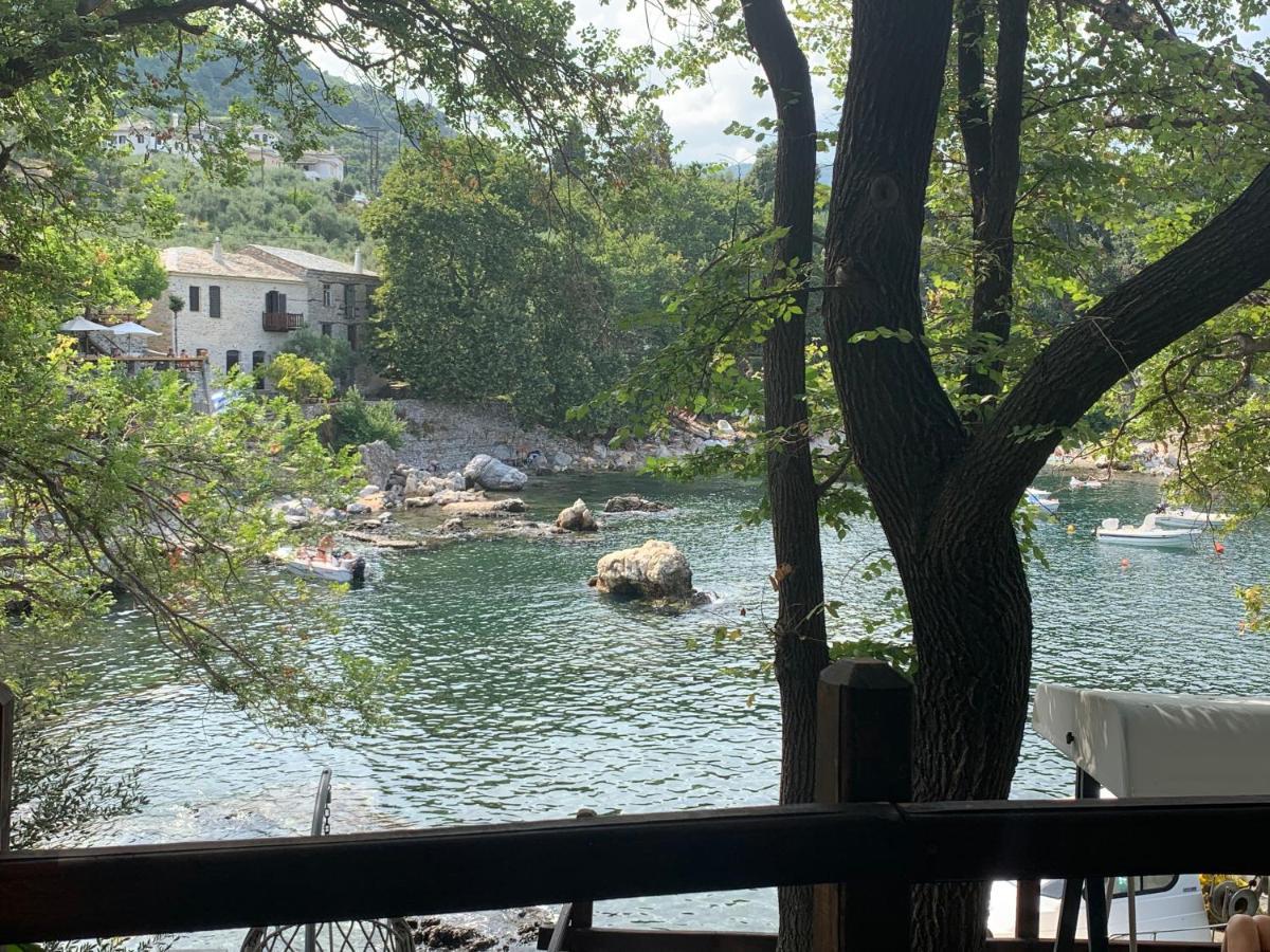 Casa vacanze Pelion 7 Lives