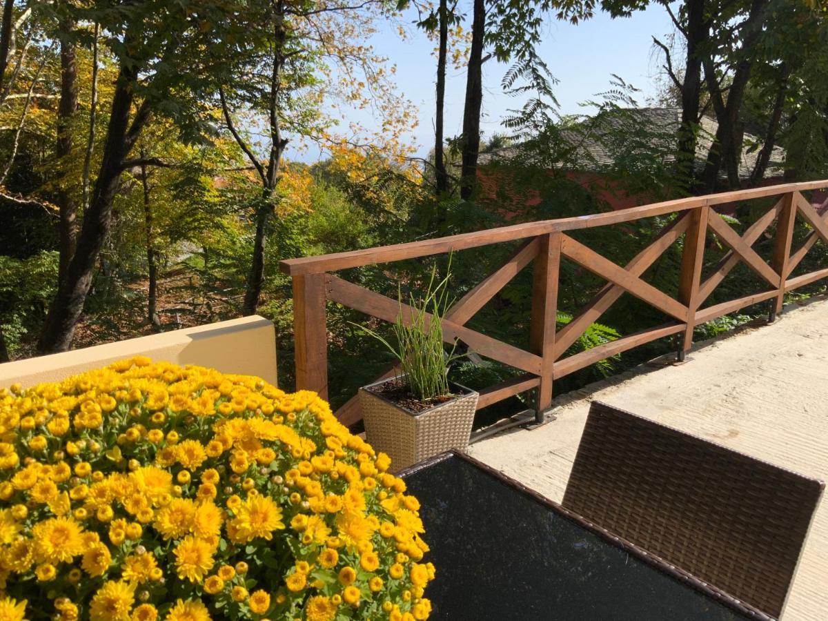 Casa vacanze Pelion 7 Lives *