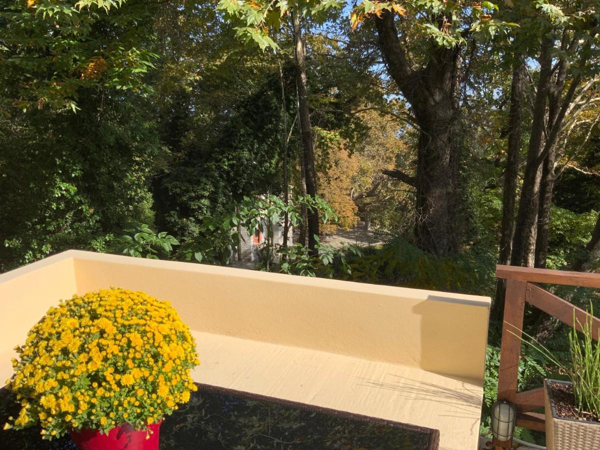 Pelion 7 Lives Casa vacanze *