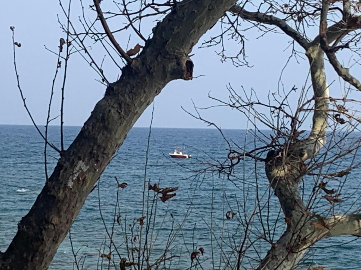 Pelion 7 Lives Casa vacanze Tsagarada