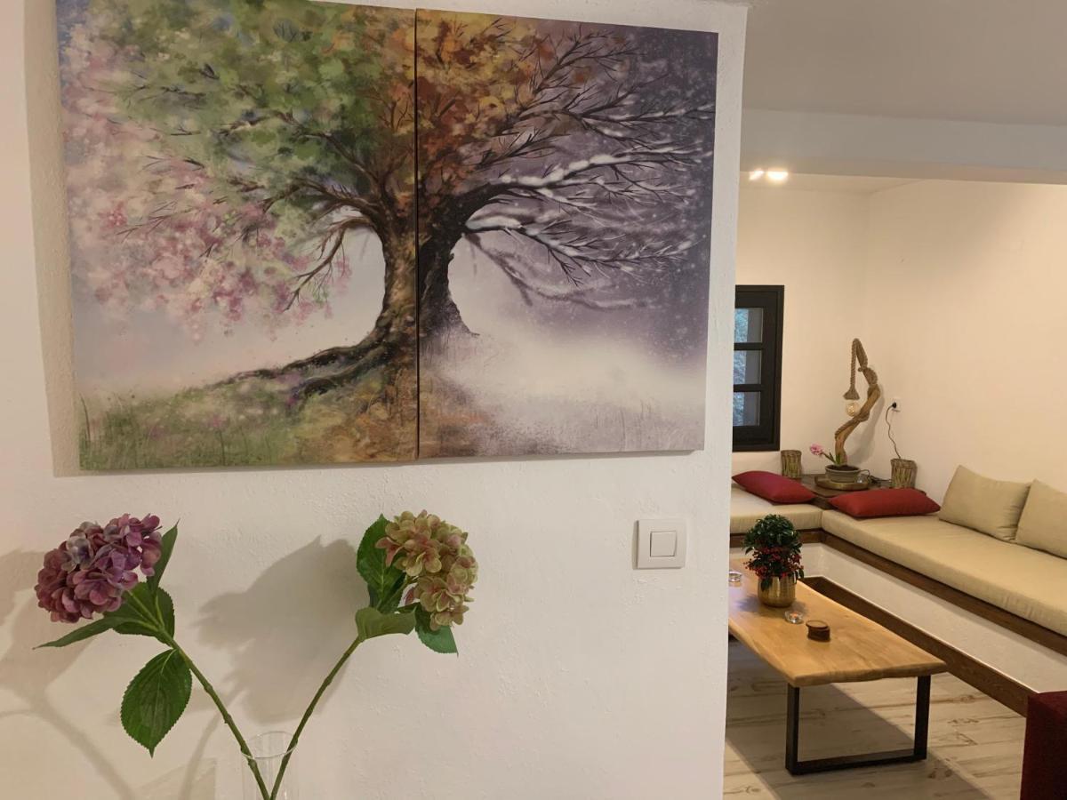 Casa vacanze Pelion 7 Lives *