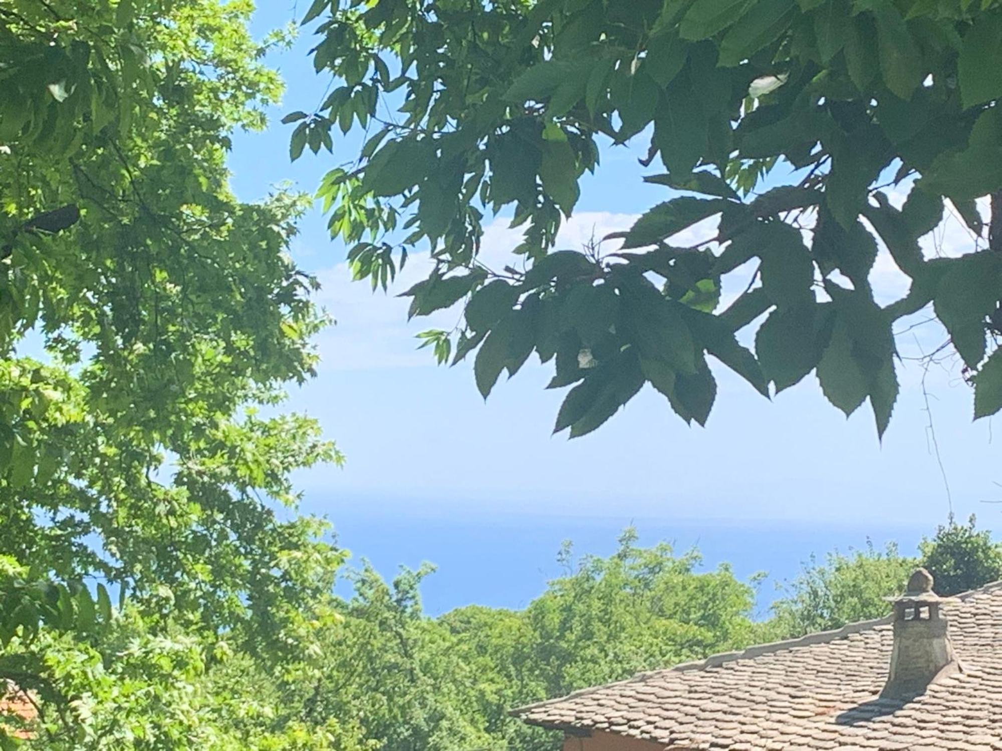 Pelion 7 Lives