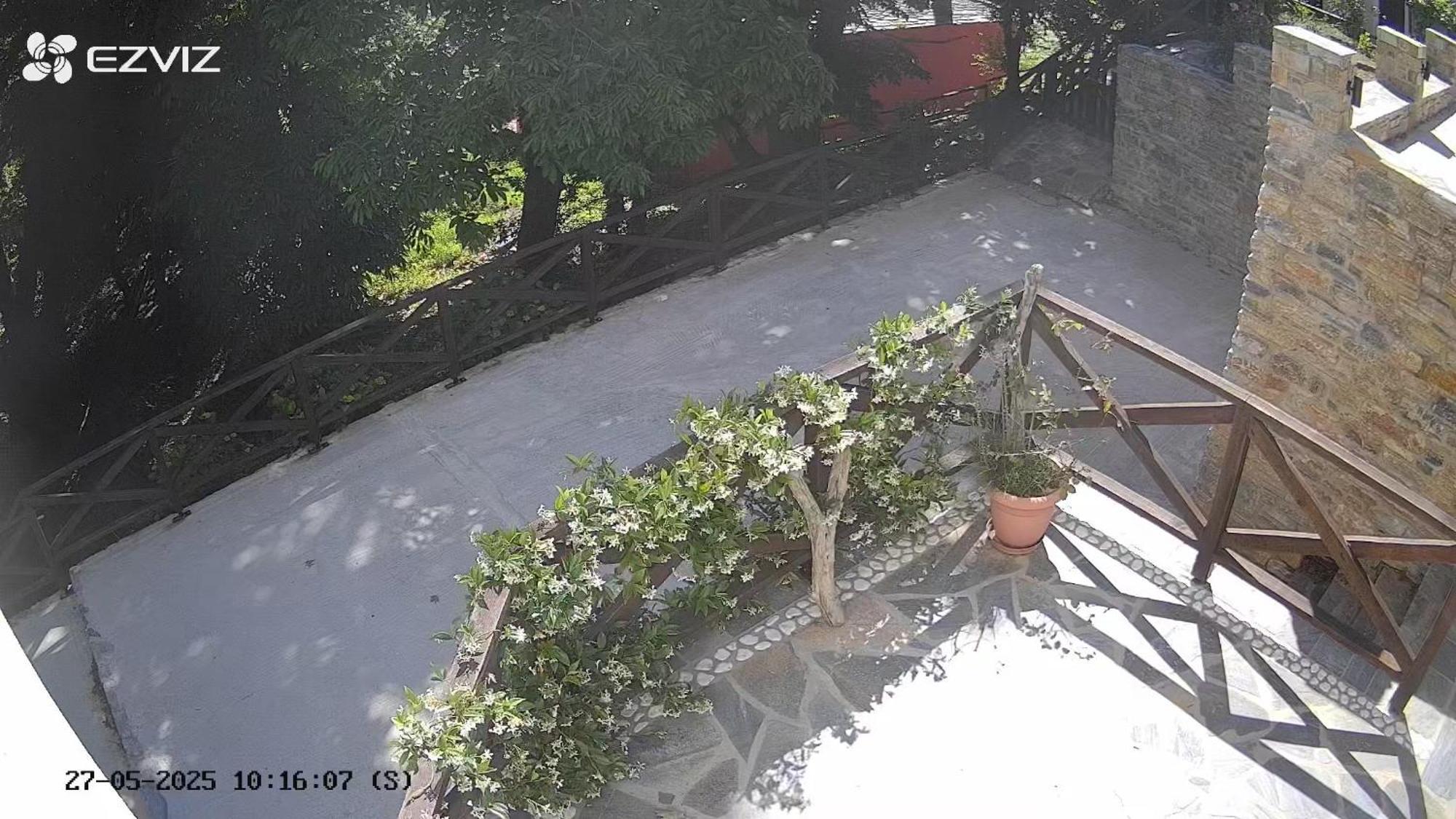 Дом отдыха Pelion 7 Lives Цагарада